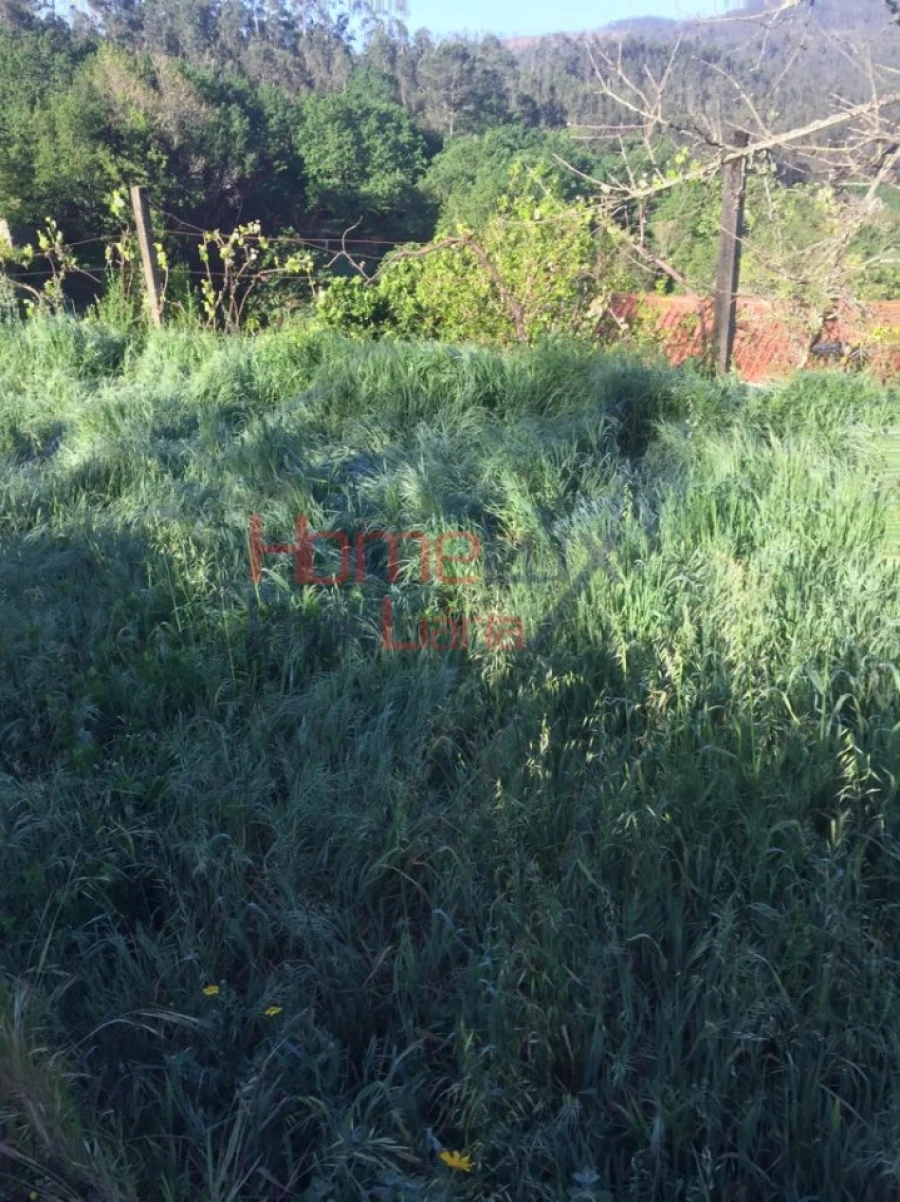 Terreno para Venda em Branca Foto 6