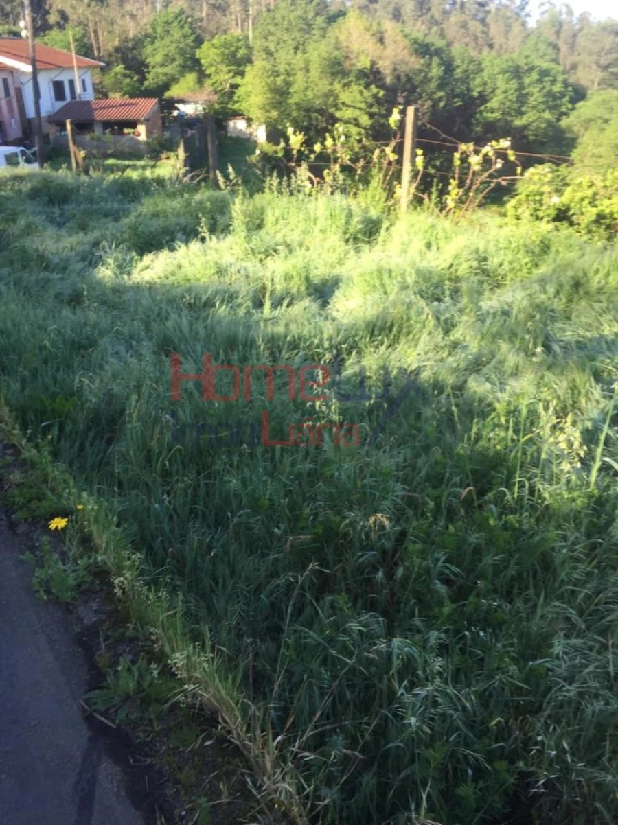 Terreno para Venda em Branca Foto 7