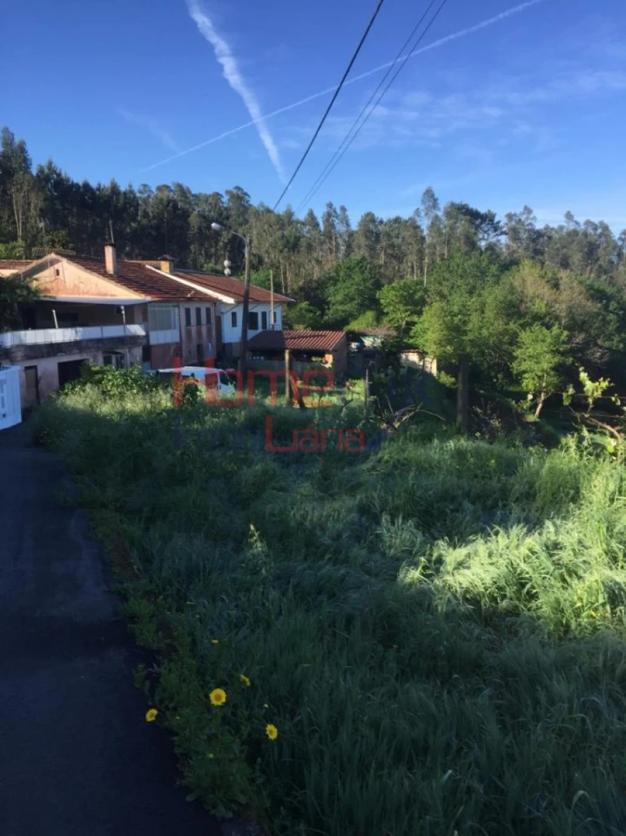 Terreno para Venda em Branca Foto 8