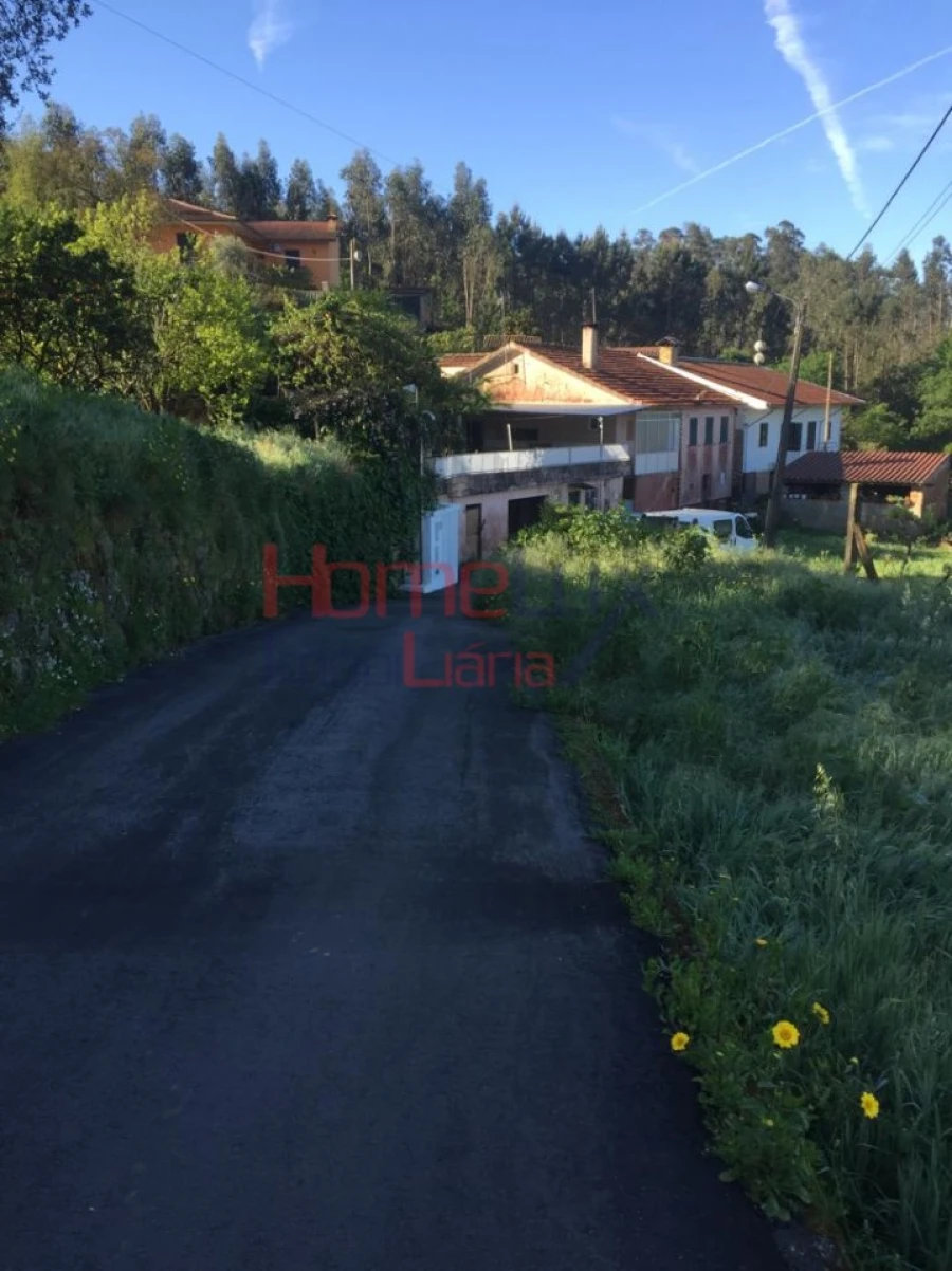 Terreno para Venda em Branca Foto 9