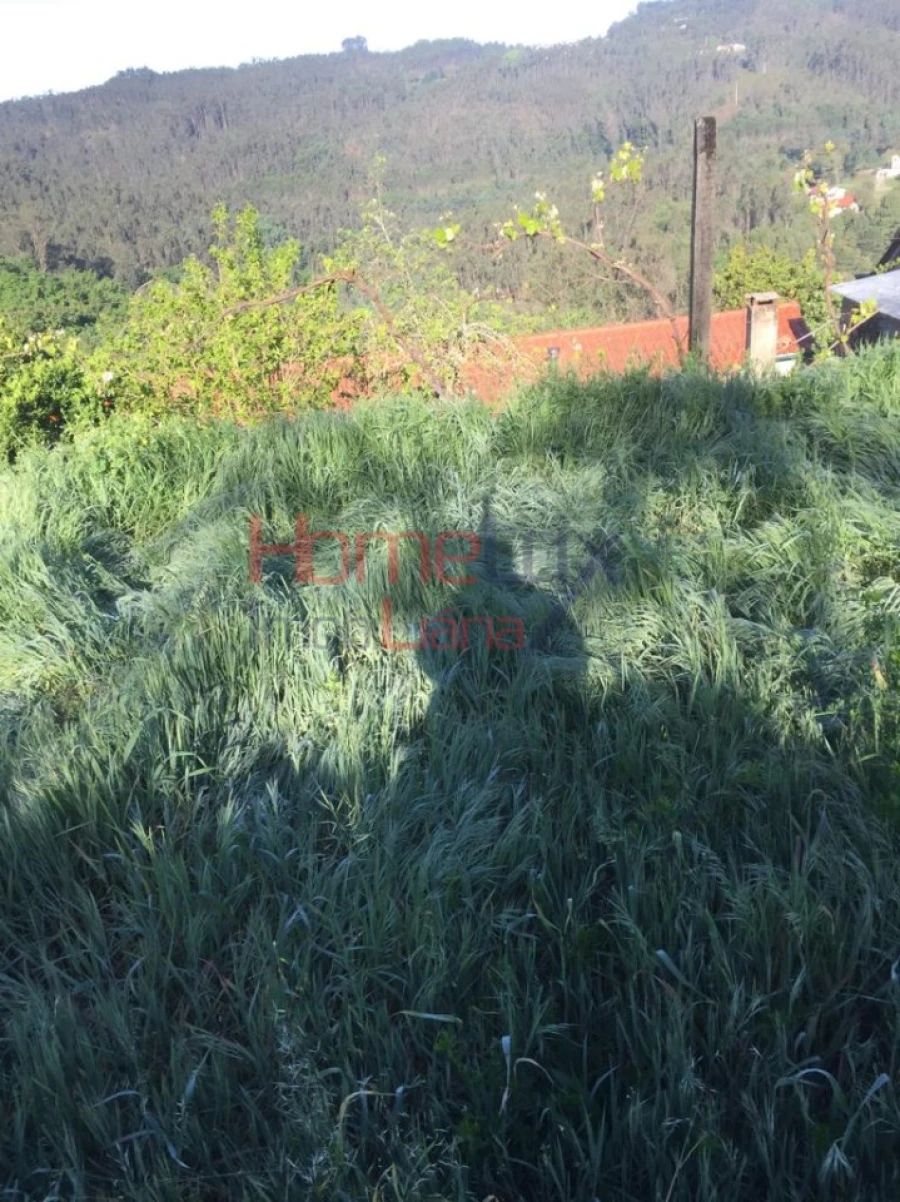 Terreno para Venda em Branca Foto 11