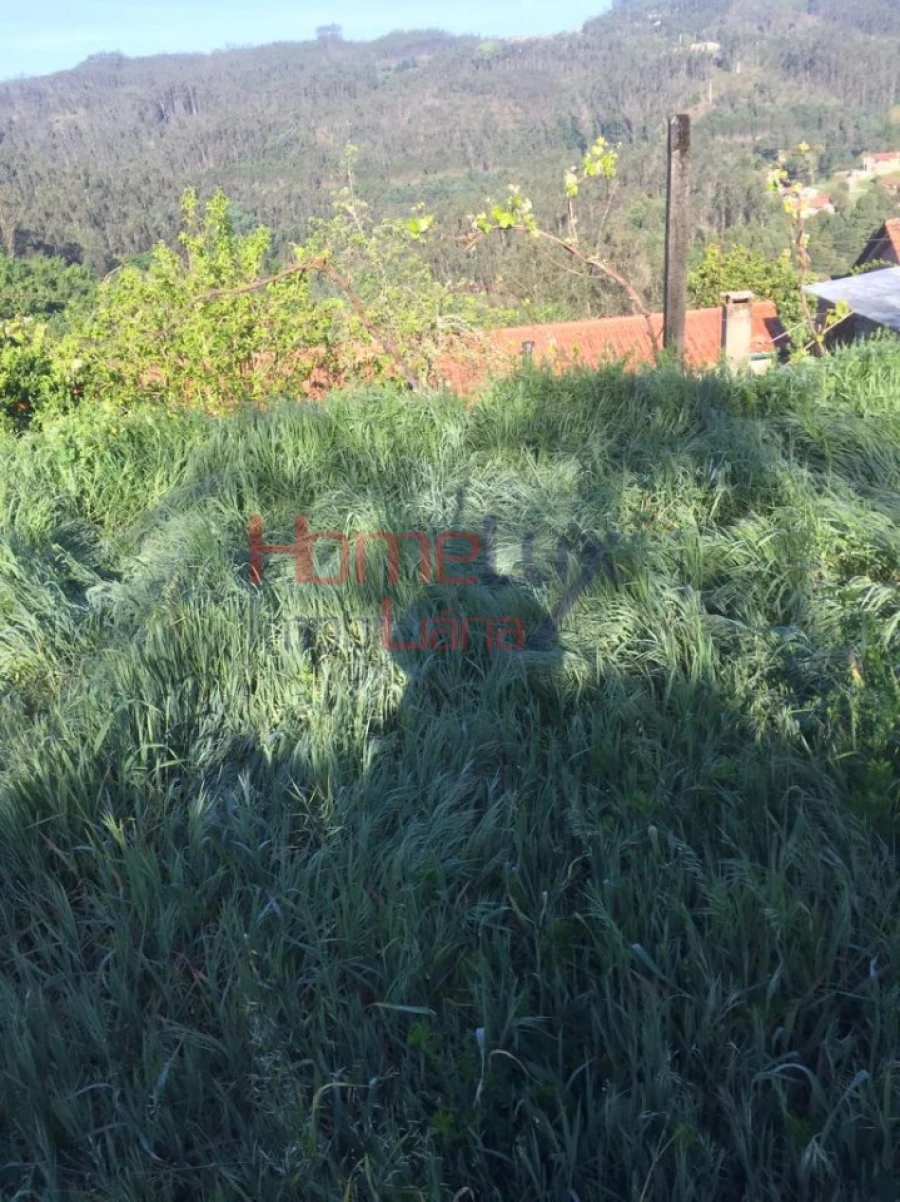 Terreno para Venda em Branca Foto 12