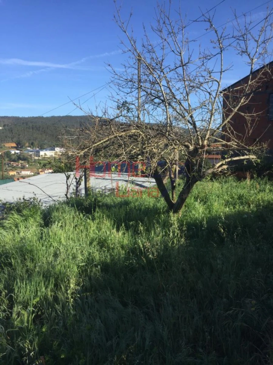 Terreno para Venda em Branca Foto 14