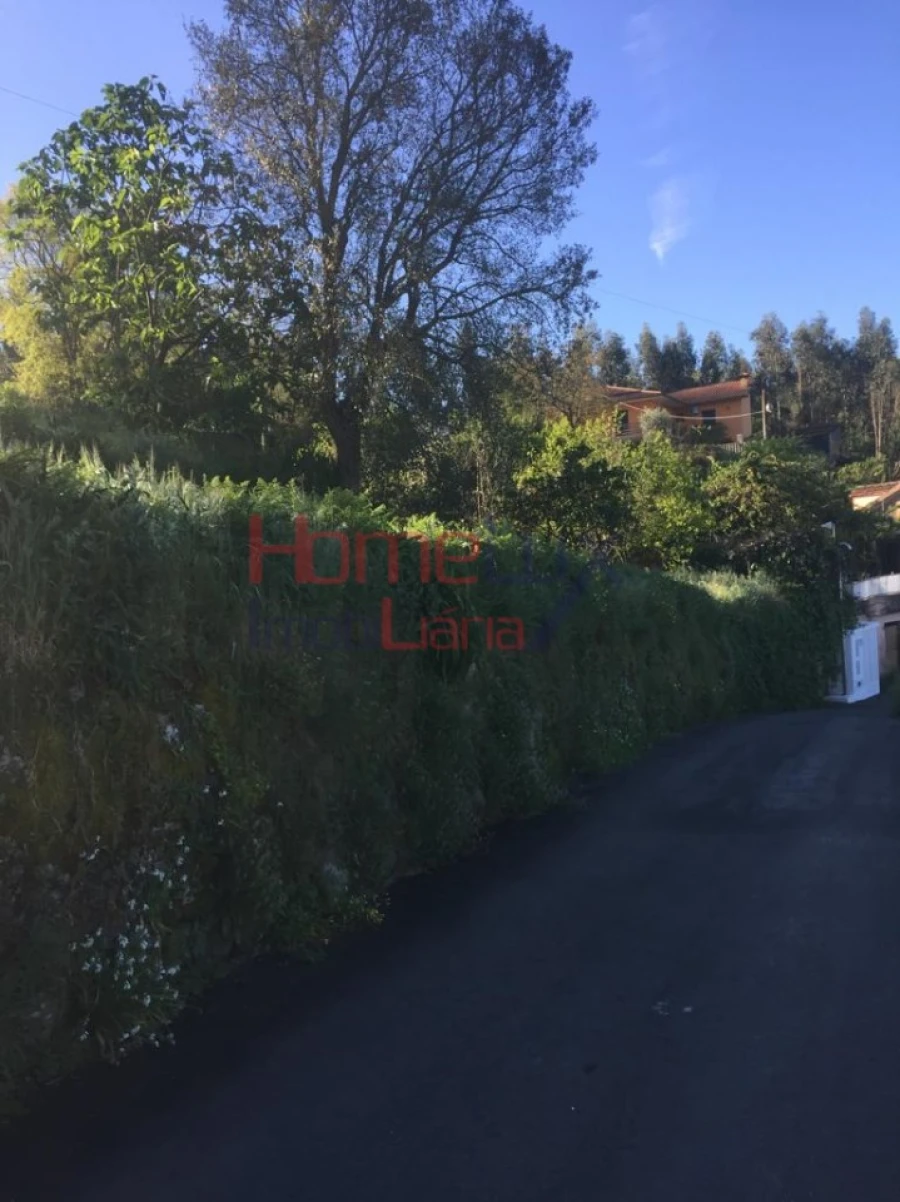 Terreno para Venda em Branca Foto 17