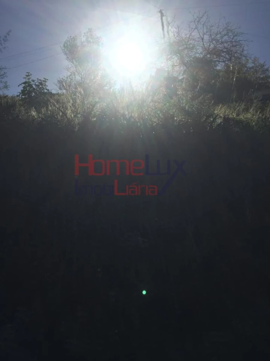 Terreno para Venda em Branca Foto 20