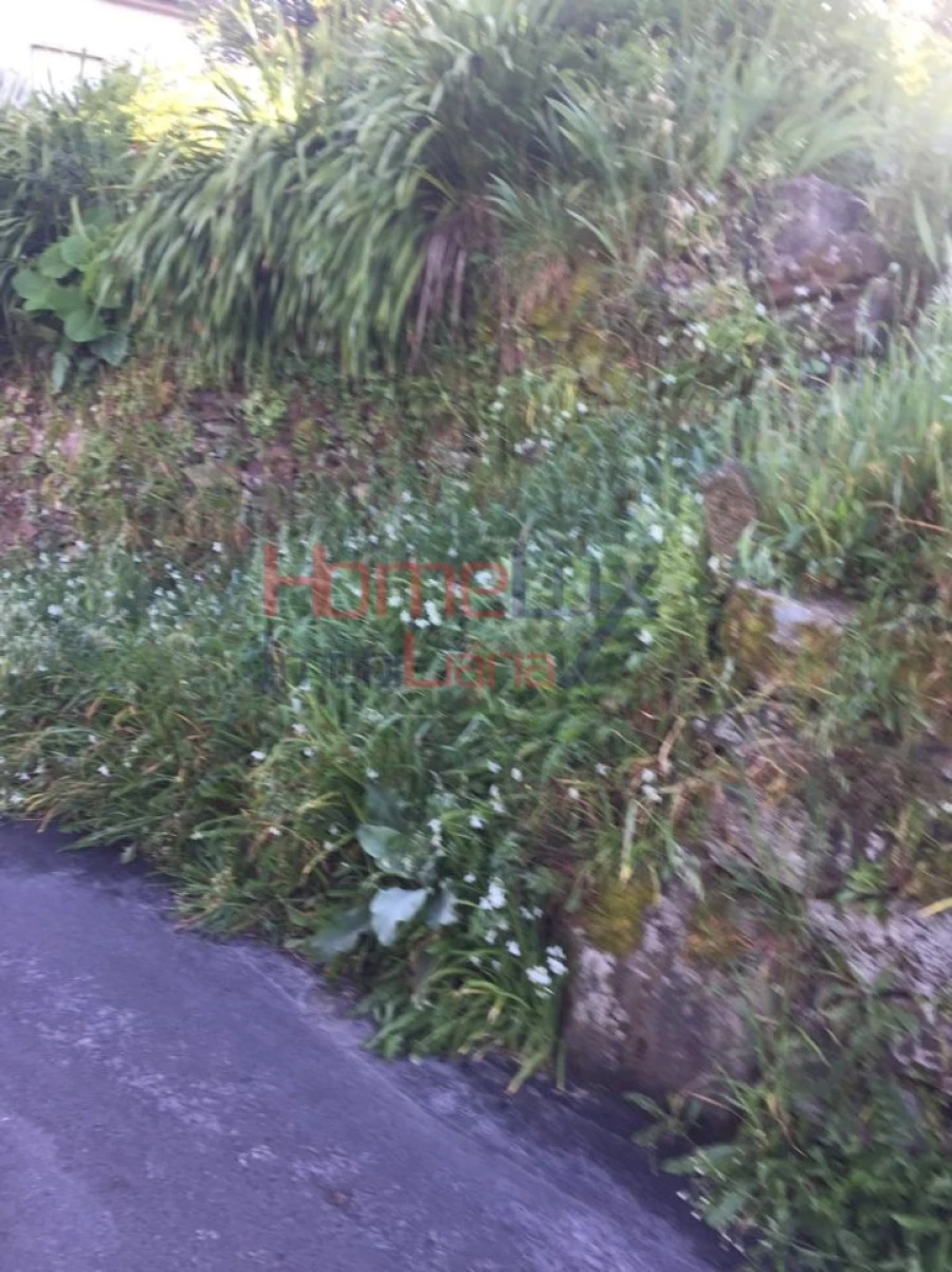 Terreno para Venda em Branca Foto 21