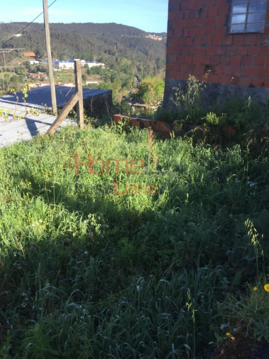 Terreno para Venda em Branca Foto 22