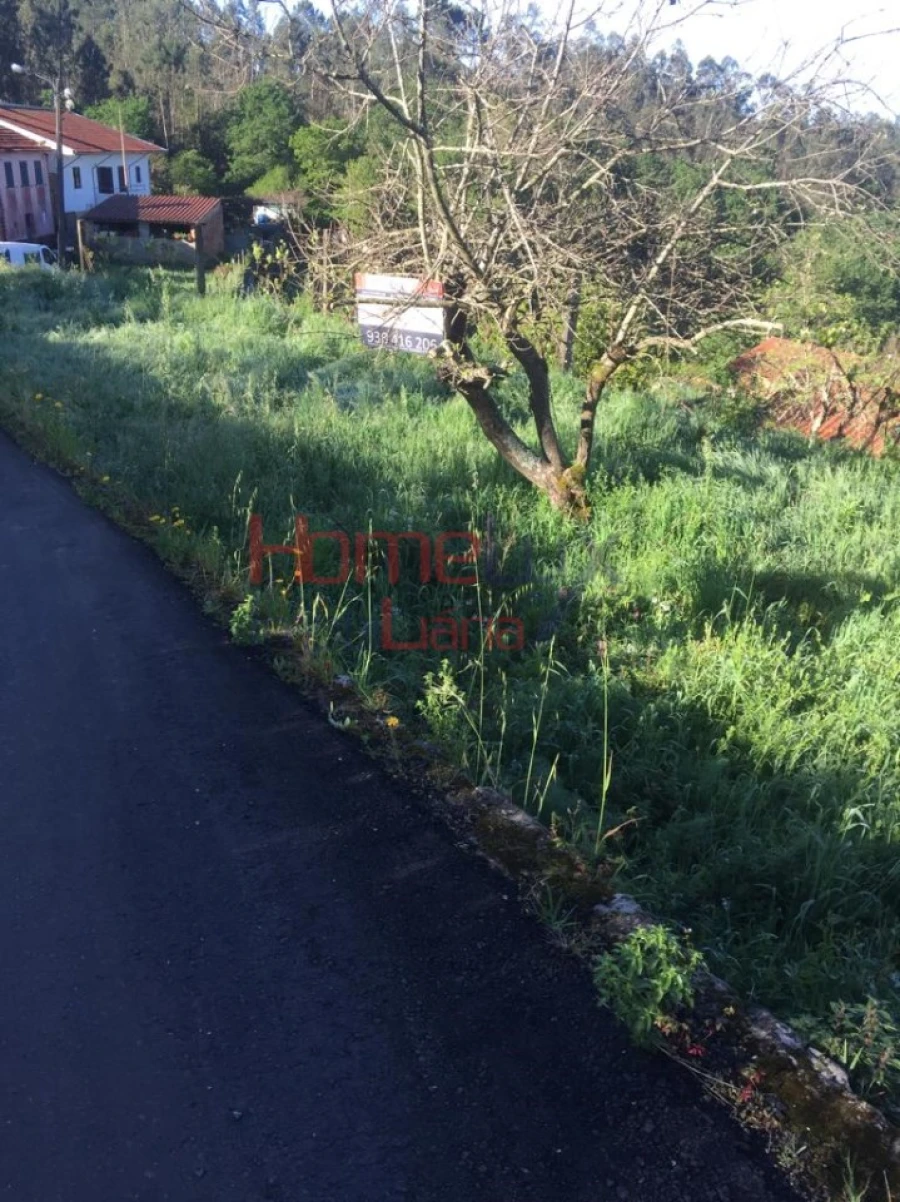 Terreno para Venda em Branca Foto 24