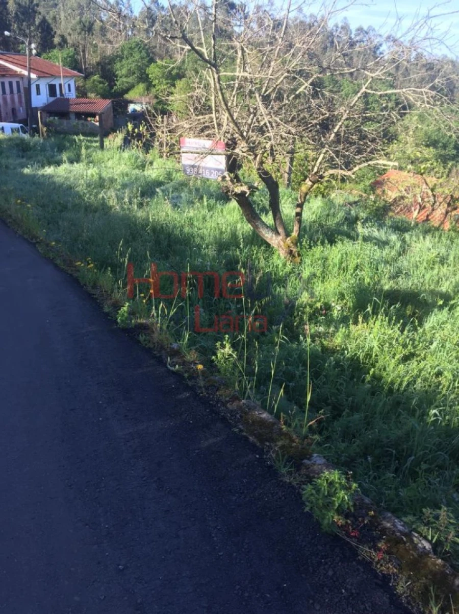 Terreno para Venda em Branca Foto 25