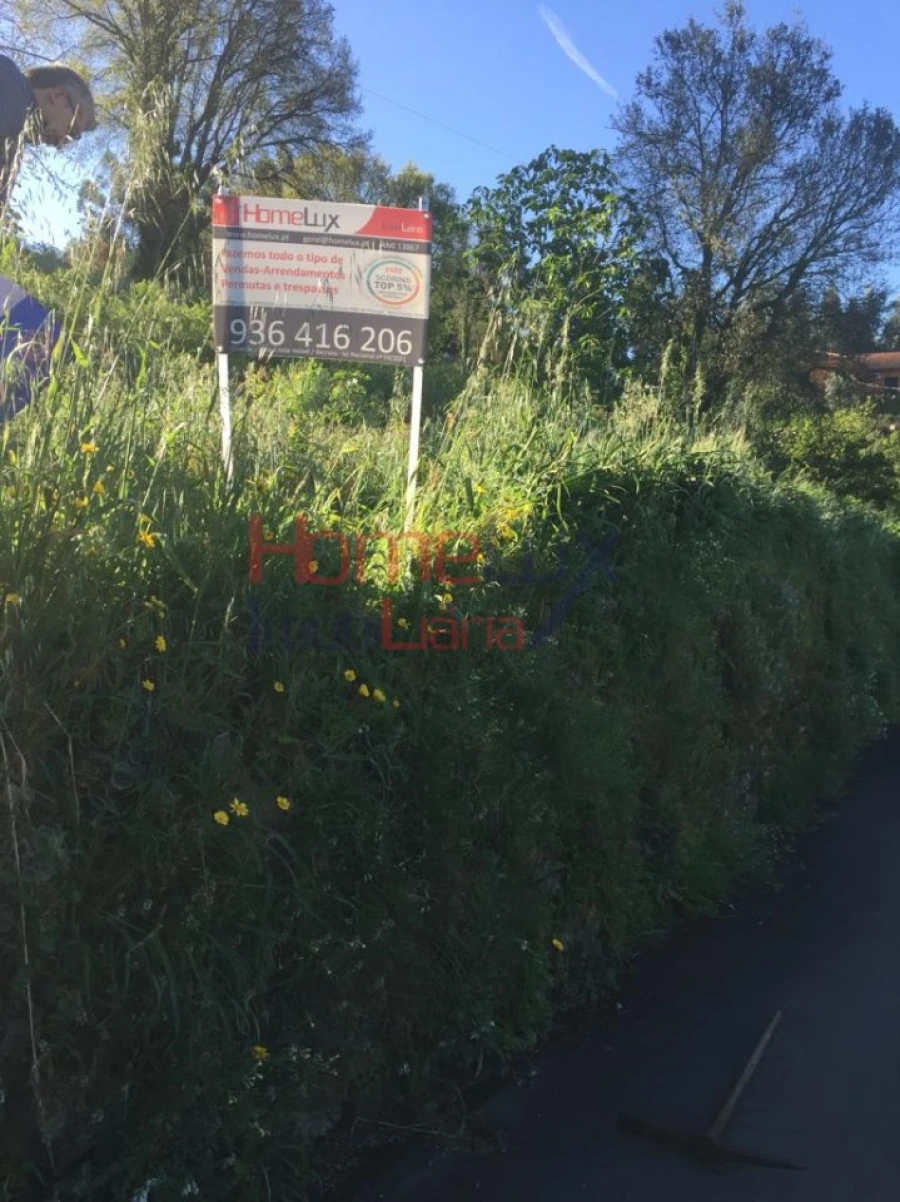 Terreno para Venda em Branca Foto 28