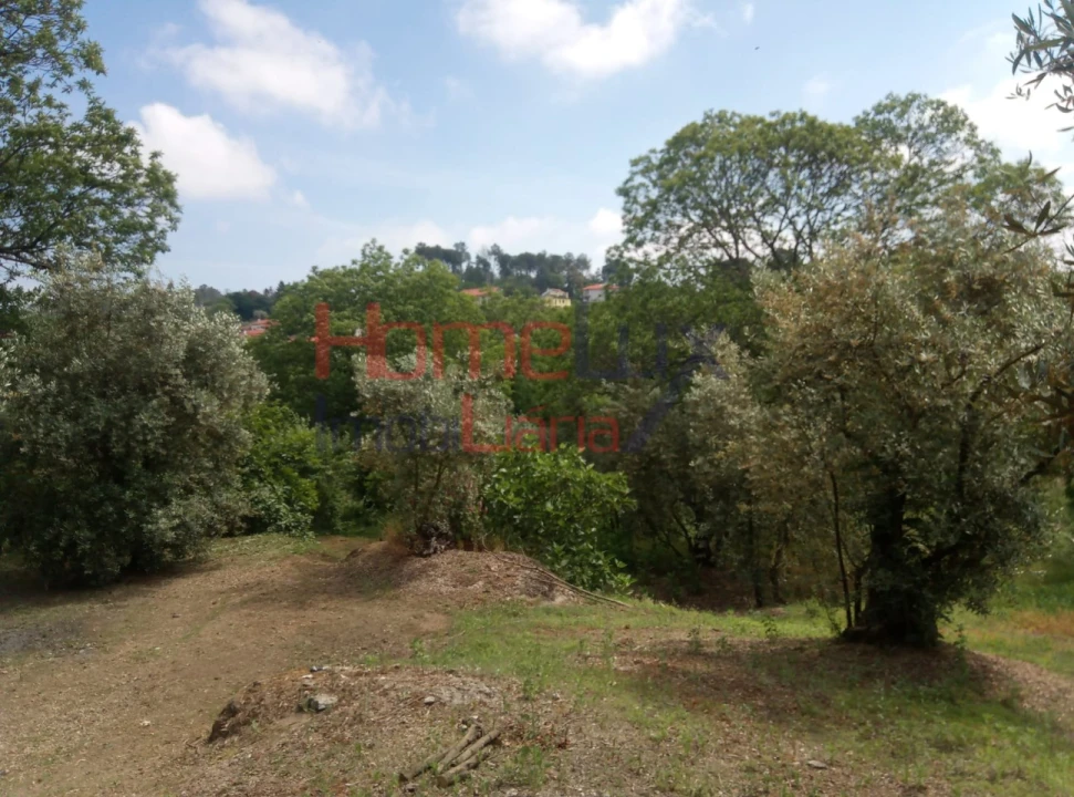 Terreno para Venda em São Cipriano e Vil de Souto Foto 2
