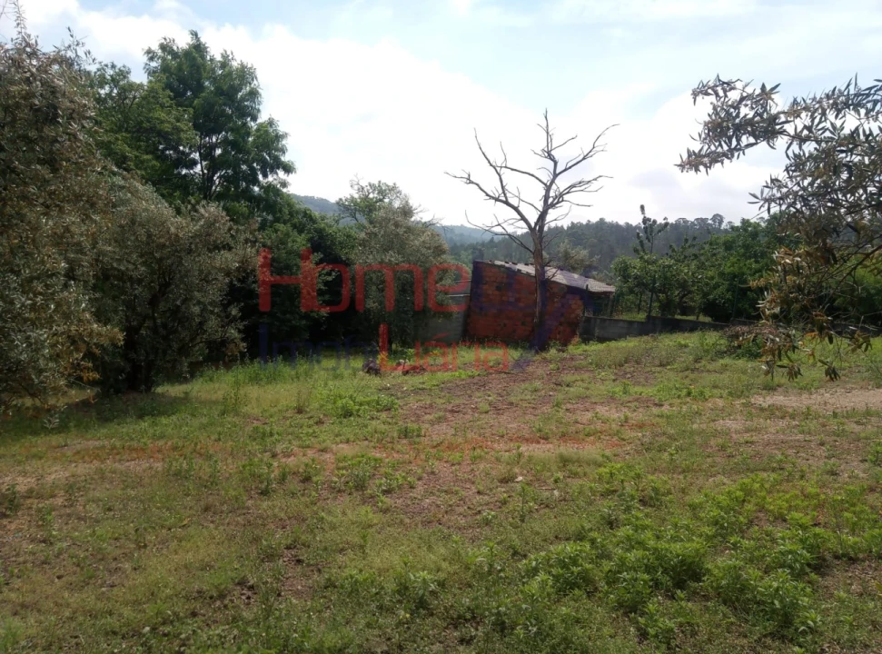 Terreno para Venda em São Cipriano e Vil de Souto Foto 4