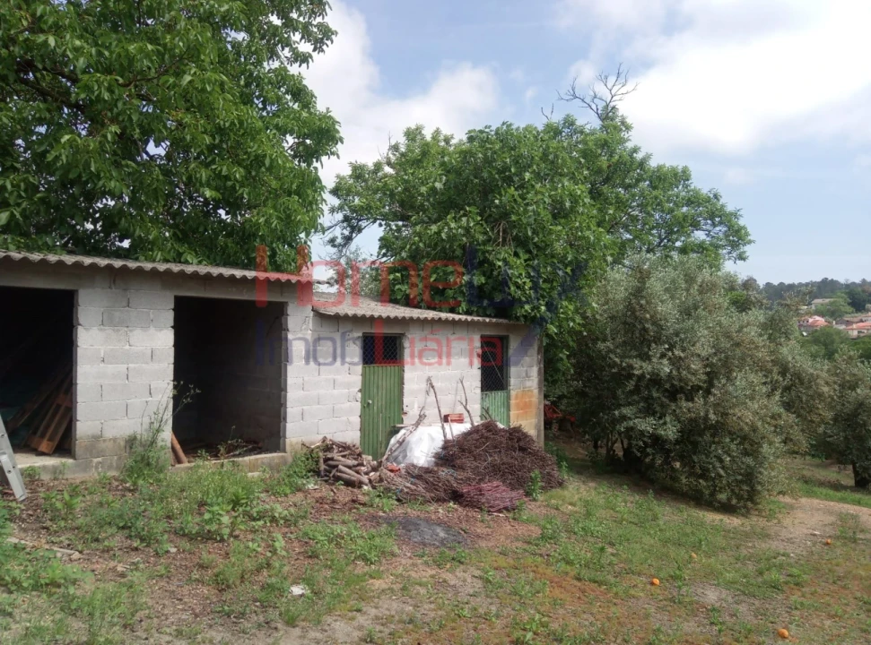 Terreno para Venda em São Cipriano e Vil de Souto Foto 8