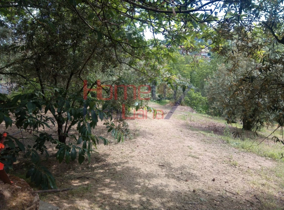 Terreno para Venda em São Cipriano e Vil de Souto Foto 11