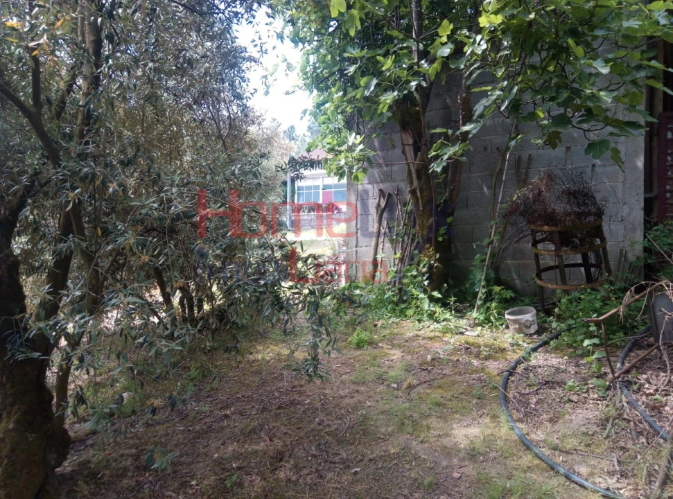 Terreno para Venda em São Cipriano e Vil de Souto Foto 16