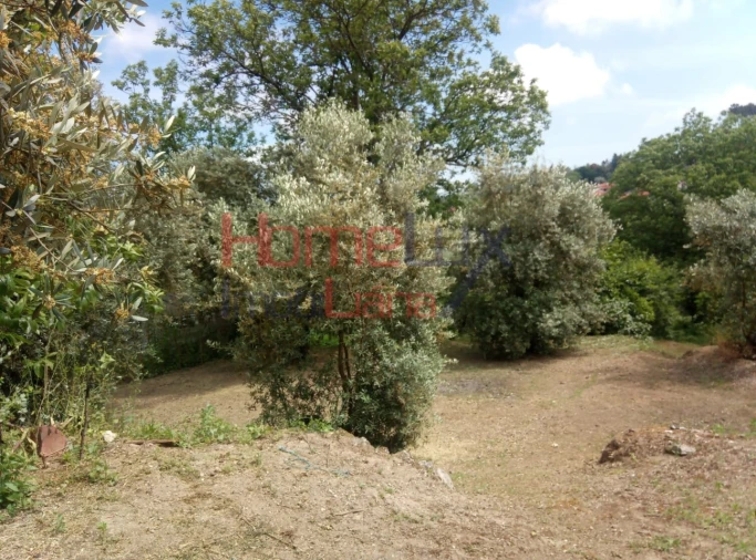 Terreno para Venda em São Cipriano e Vil de Souto
