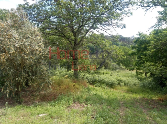 Terreno para Venda em São Cipriano e Vil de Souto Foto 10