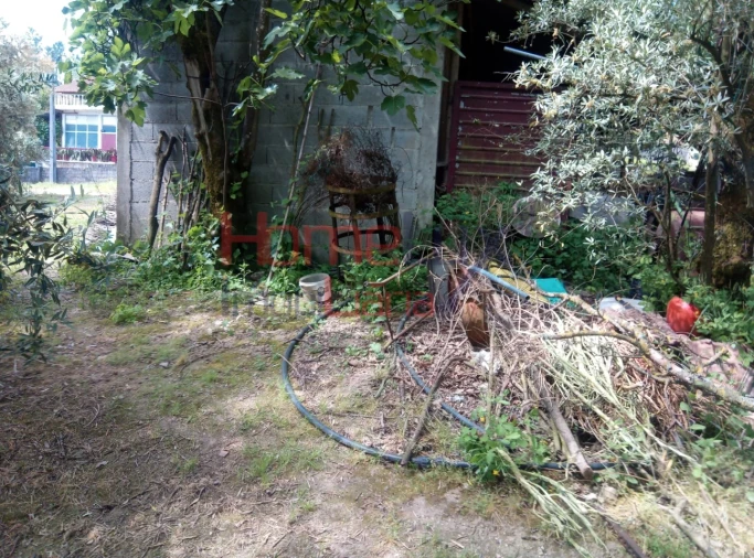 Terreno para Venda em São Cipriano e Vil de Souto Foto 15