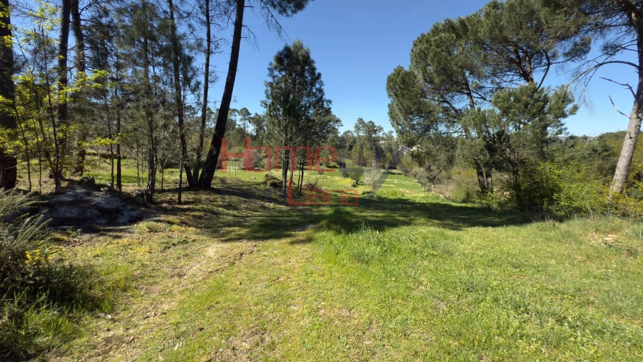 Terreno para Venda em São João de Lourosa Foto 2