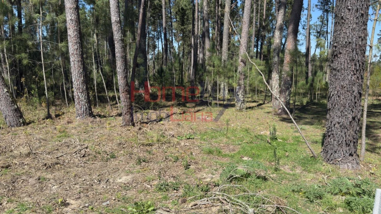 Terreno para Venda em São João de Lourosa Foto 3