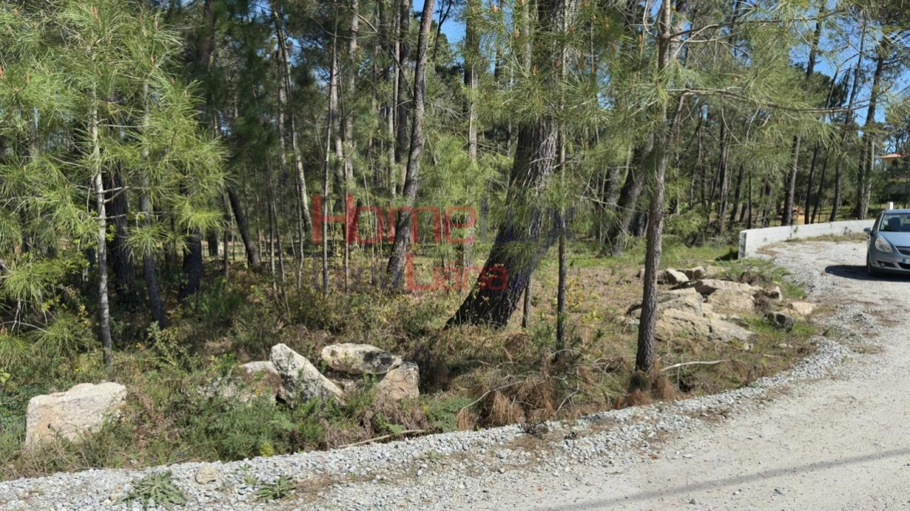 Terreno para Venda em São João de Lourosa Foto 6