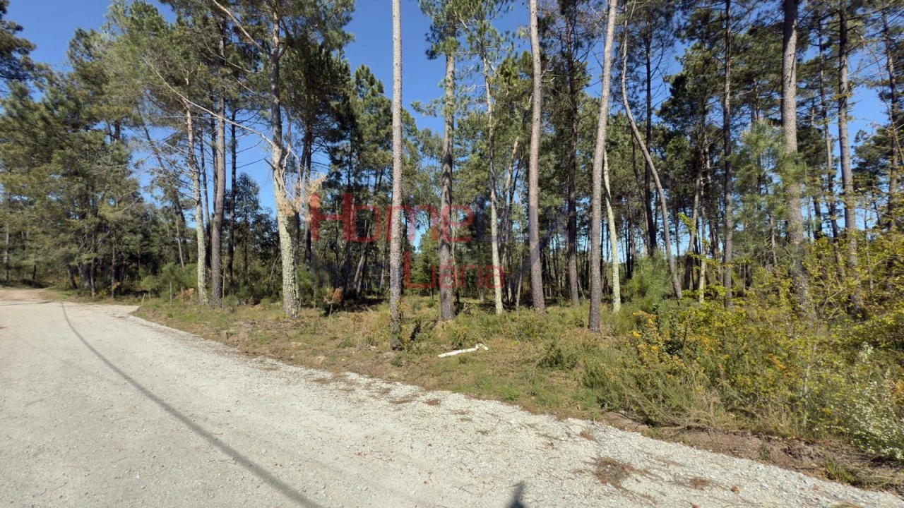 Terreno para Venda em São João de Lourosa Foto 12