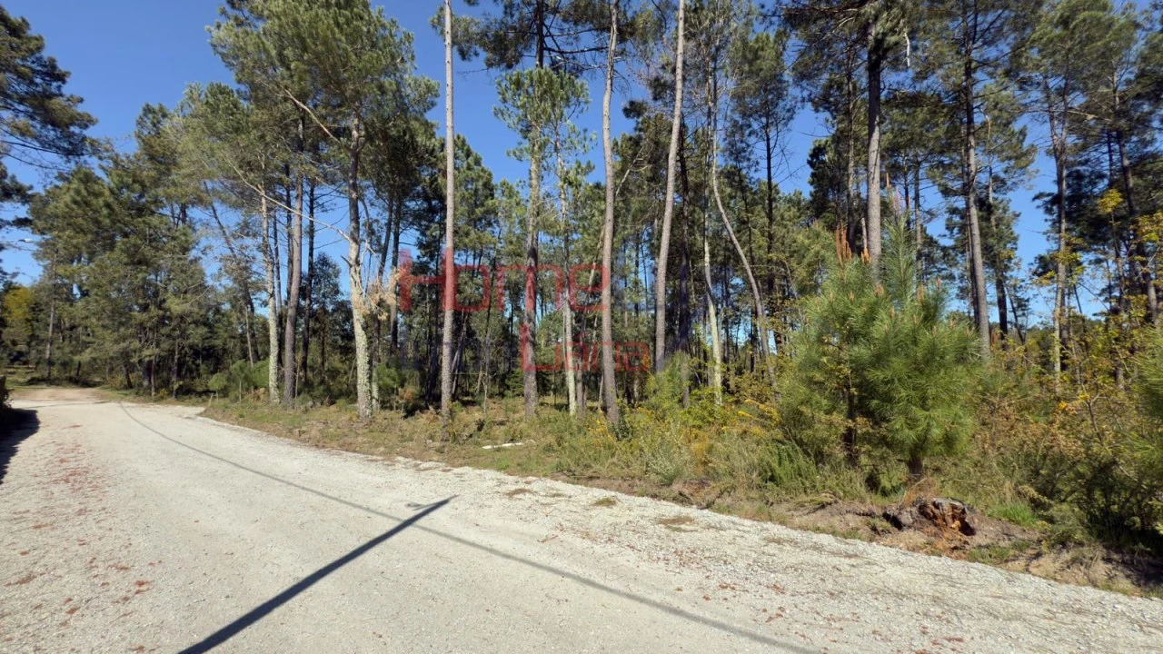 Terreno para Venda em São João de Lourosa Foto 13