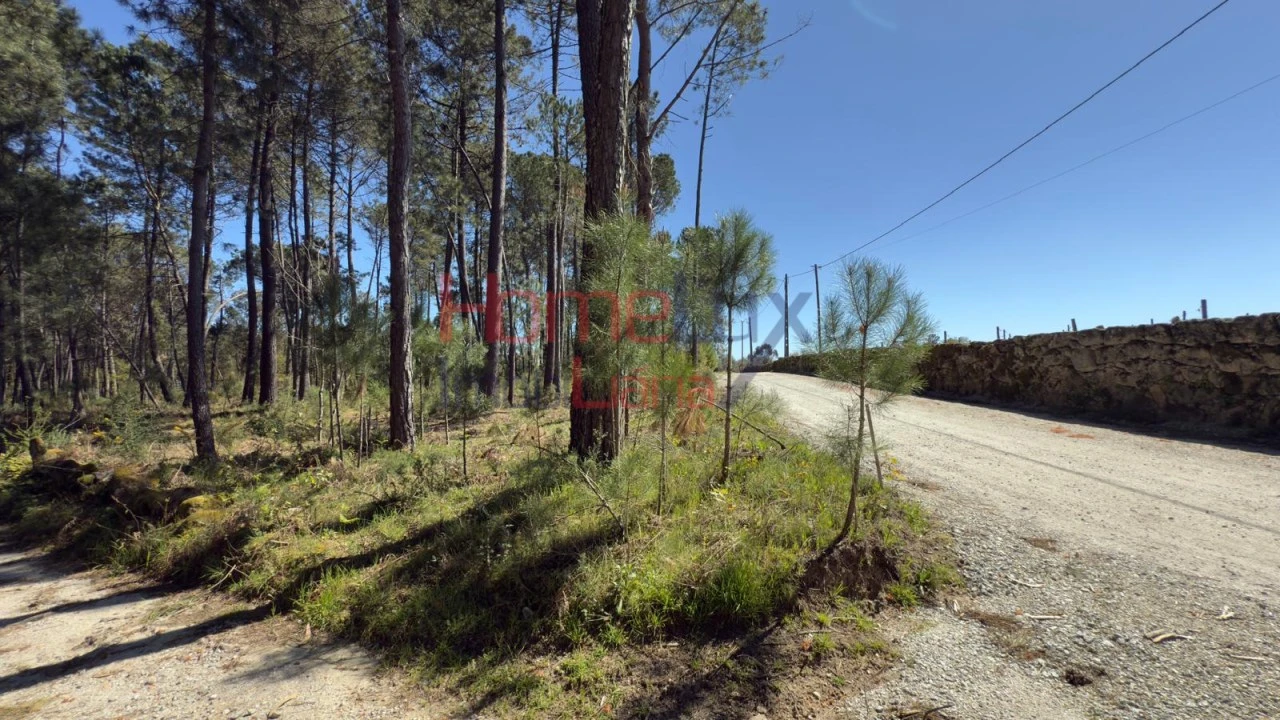 Terreno para Venda em São João de Lourosa Foto 14