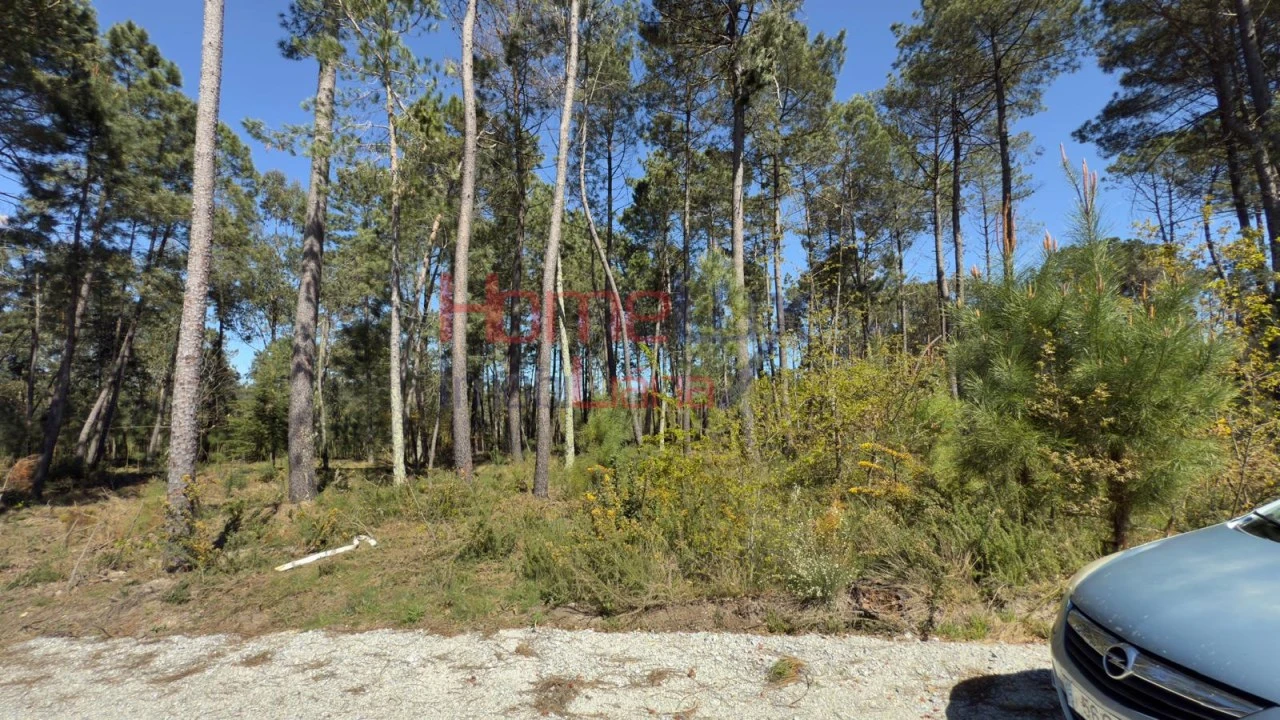 Terreno para Venda em São João de Lourosa Foto 15