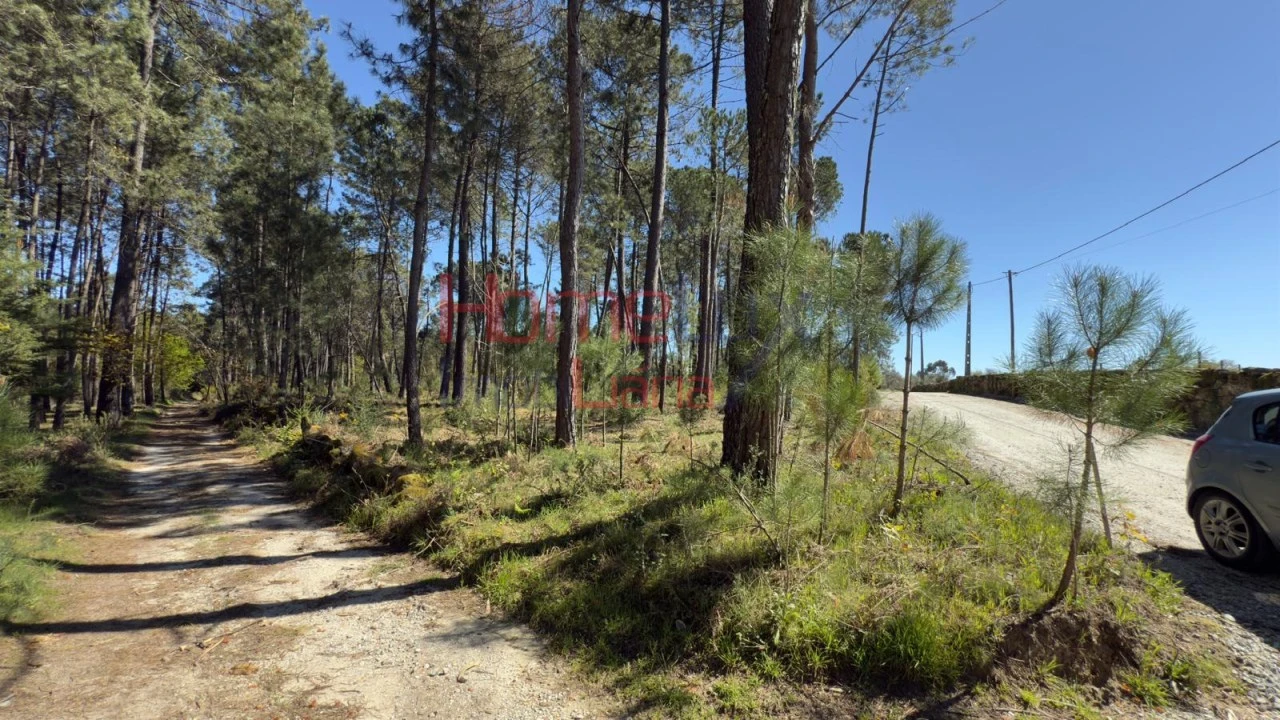 Terreno para Venda em São João de Lourosa Foto 16