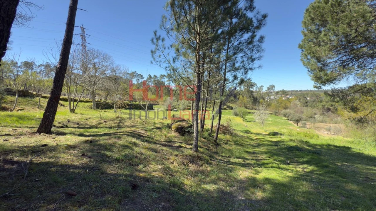 Terreno para Venda em São João de Lourosa Foto 21