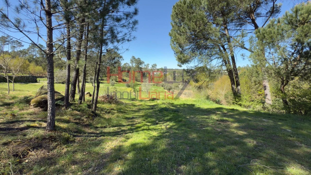 Terreno para Venda em São João de Lourosa Foto 22