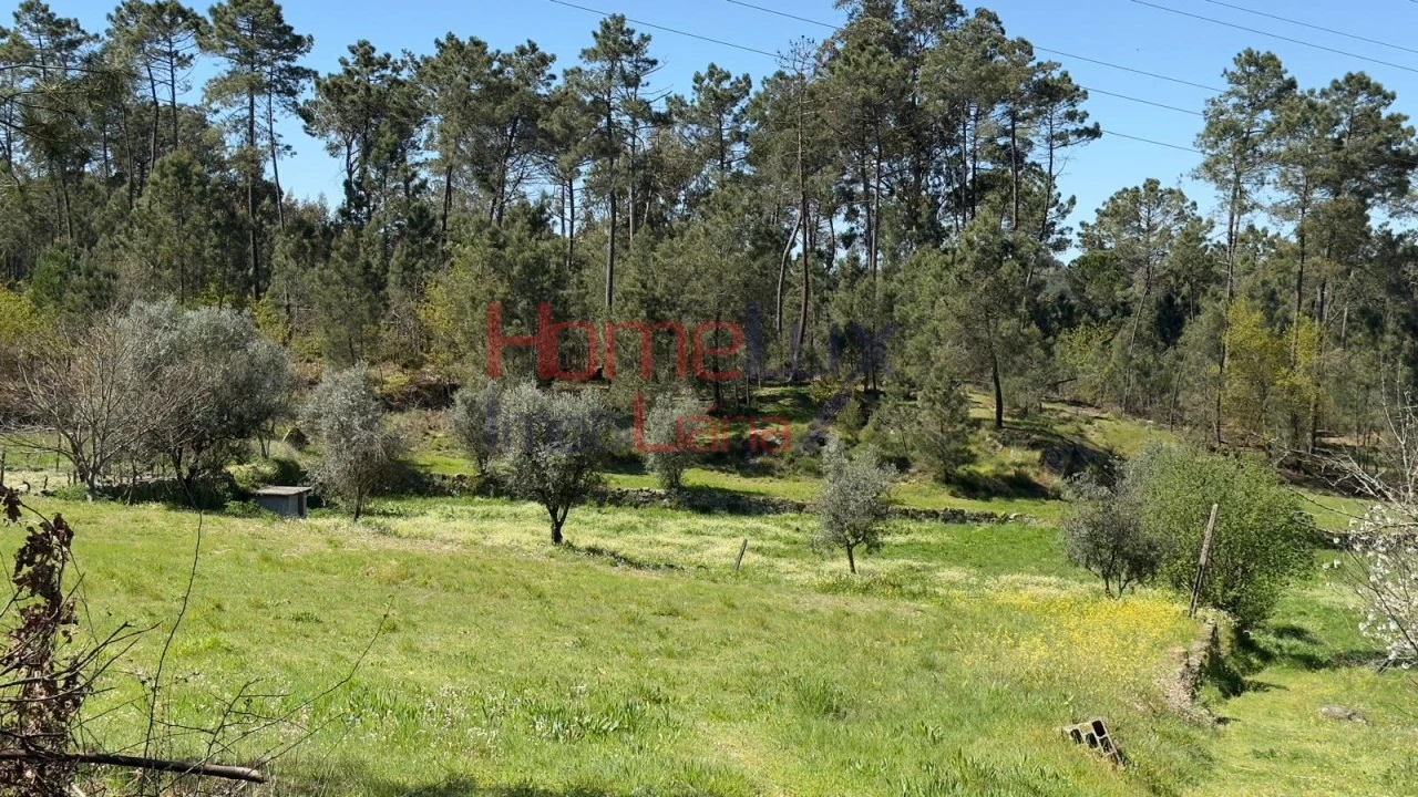 Terreno para Venda em São João de Lourosa Foto 25