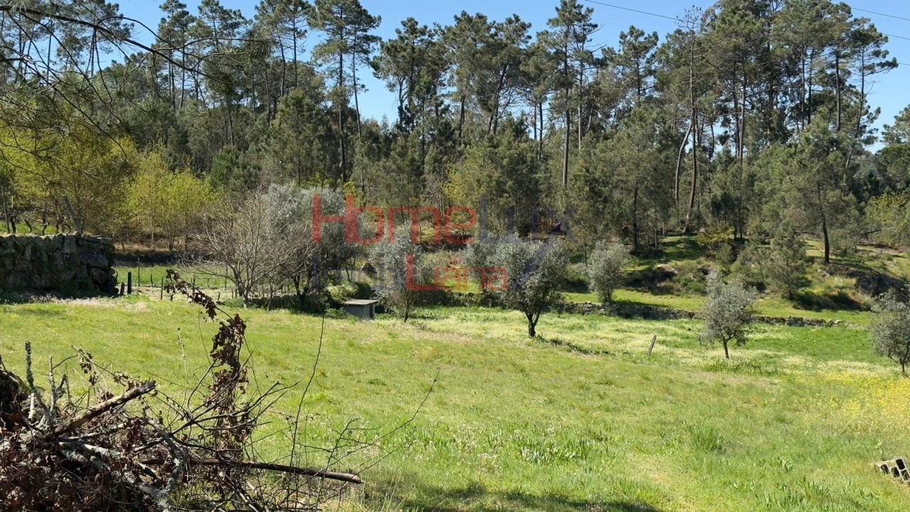 Terreno para Venda em São João de Lourosa Foto 26