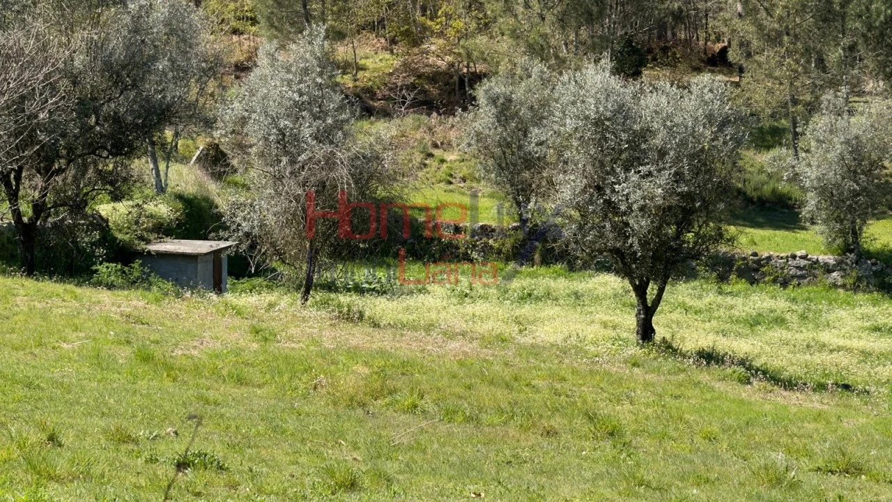 Terreno para Venda em São João de Lourosa Foto 27