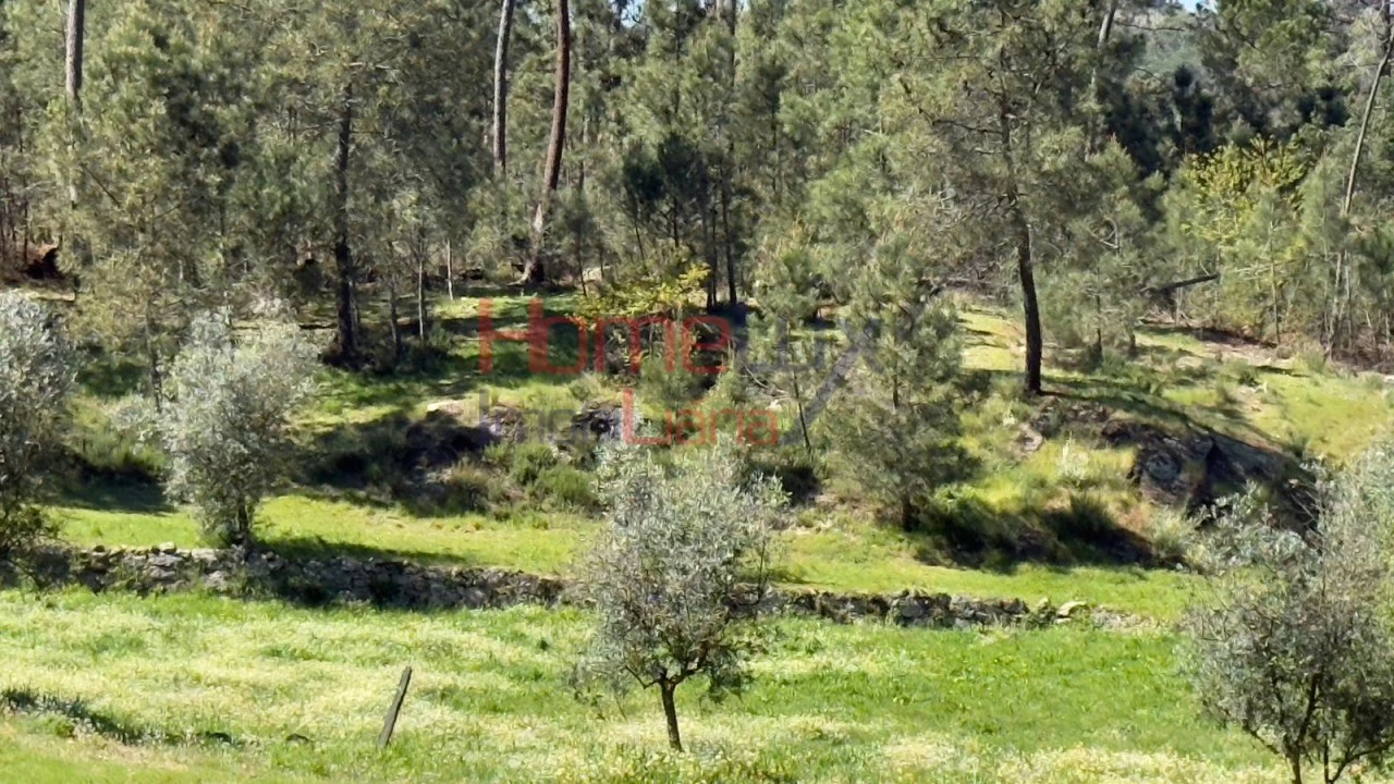 Terreno para Venda em São João de Lourosa Foto 29