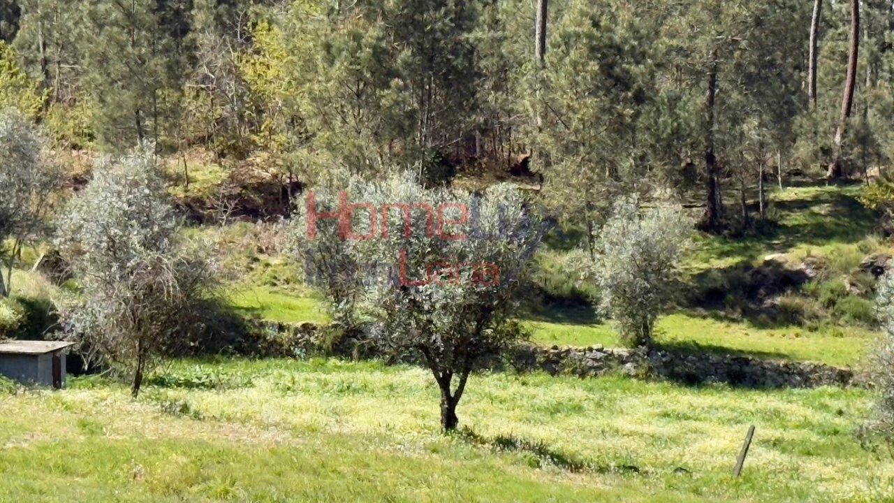 Terreno para Venda em São João de Lourosa Foto 30