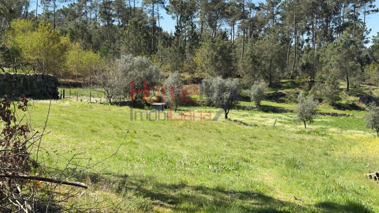 Terreno para Venda em São João de Lourosa Foto 32