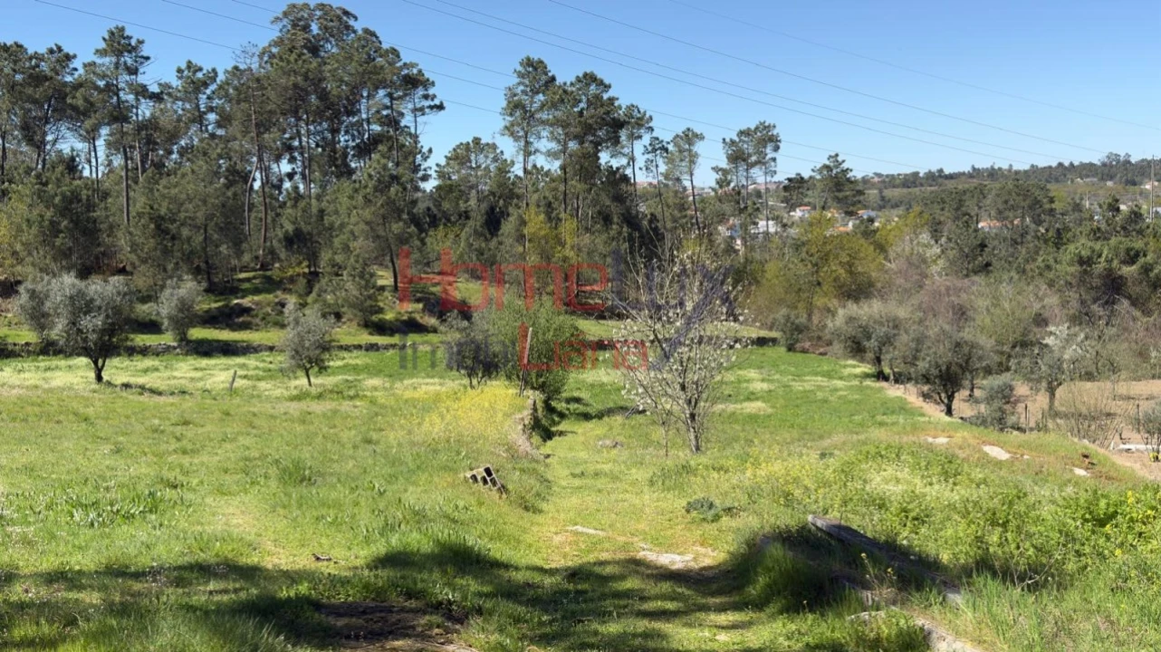 Terreno para Venda em São João de Lourosa Foto 36
