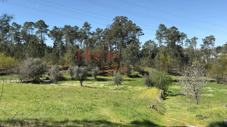 Terreno para Venda em São João de Lourosa