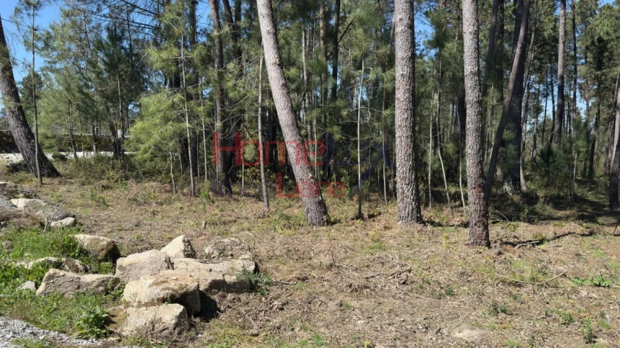Terreno para Venda em São João de Lourosa Foto 4