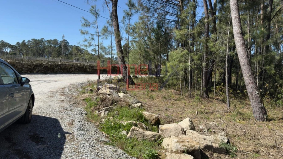 Terreno para Venda em São João de Lourosa Foto 7