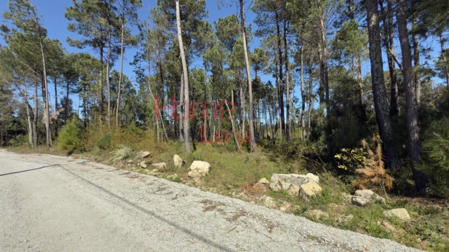 Terreno para Venda em São João de Lourosa Foto 9