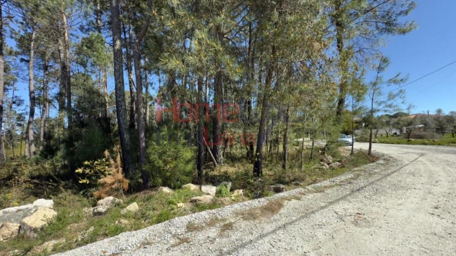 Terreno para Venda em São João de Lourosa Foto 10
