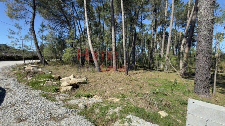 Terreno para Venda em São João de Lourosa Foto 11