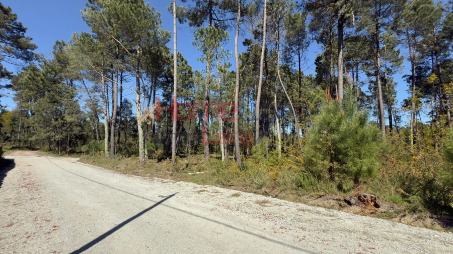 Terreno para Venda em São João de Lourosa Foto 13