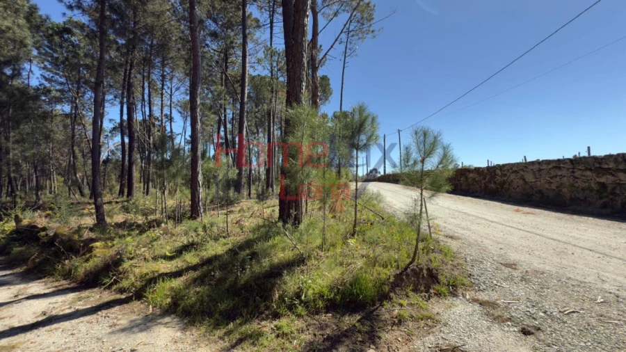 Terreno para Venda em São João de Lourosa Foto 14