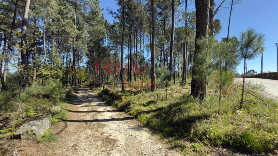 Terreno para Venda em São João de Lourosa Foto 17