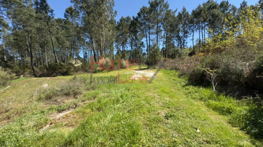 Terreno para Venda em São João de Lourosa Foto 18