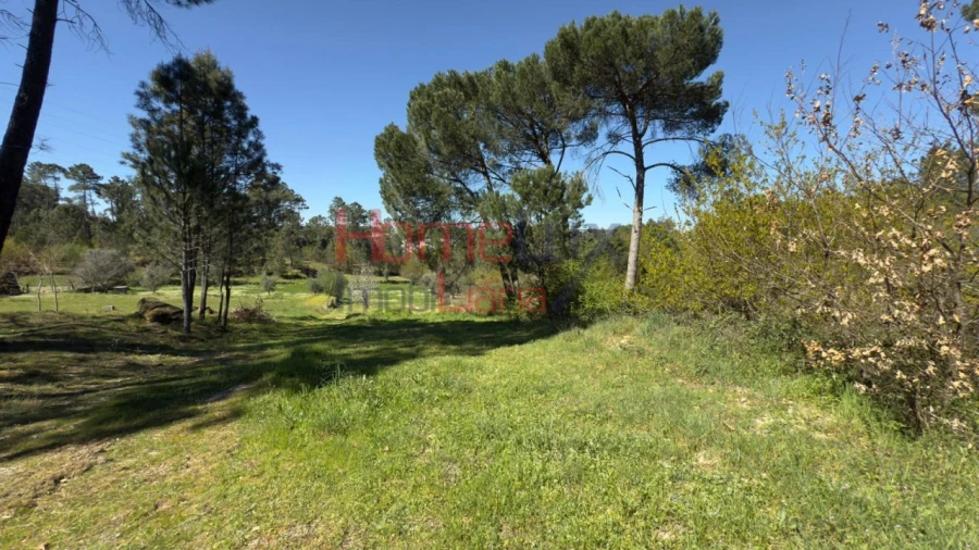 Terreno para Venda em São João de Lourosa Foto 19